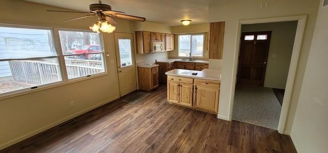 kitchen with white microwave, baseboards, a ceiling fan, dark wood finished floors, and light countertops