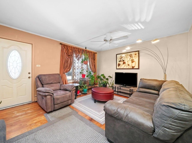 living room with a ceiling fan, wood finished floors, and ornamental molding