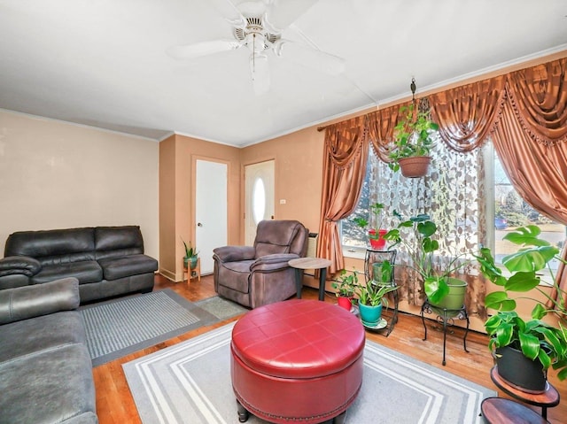 living room with crown molding, wood finished floors, and ceiling fan