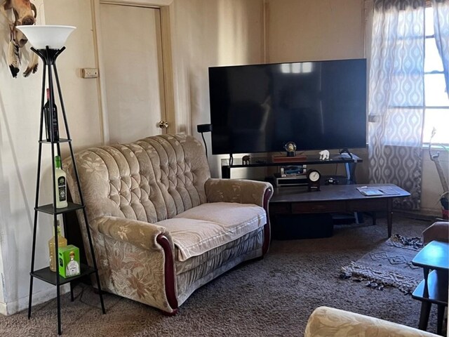 living room featuring carpet floors