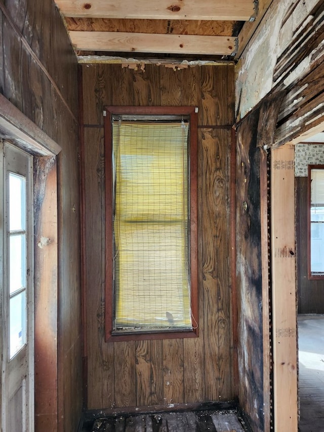 interior space with wooden walls