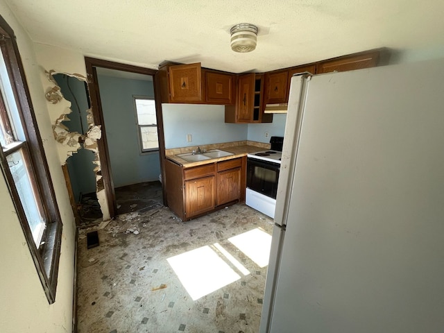 kitchen with electric stove, a sink, under cabinet range hood, freestanding refrigerator, and light countertops