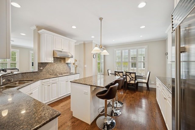 kitchen featuring a sink, stainless steel appliances, under cabinet range hood, crown molding, and dark wood-style flooring