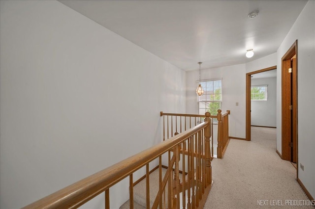 109 Oxford Ct Unit 0, Oswego, IL 60543 - corridor with an upstairs landing, light carpet, and baseboards