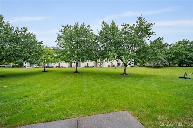 109 Oxford Ct Unit 0, Oswego, IL 60543 - view of green lawn