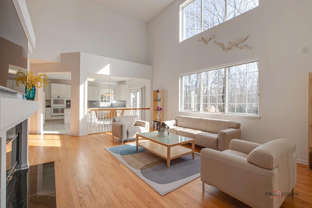 living area with plenty of natural light, a fireplace with flush hearth, and light wood finished floors