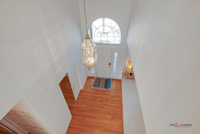 entrance foyer featuring a towering ceiling and light wood finished floors