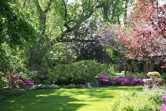 view of yard featuring a view of trees