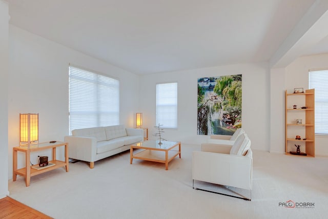 living area featuring carpet flooring