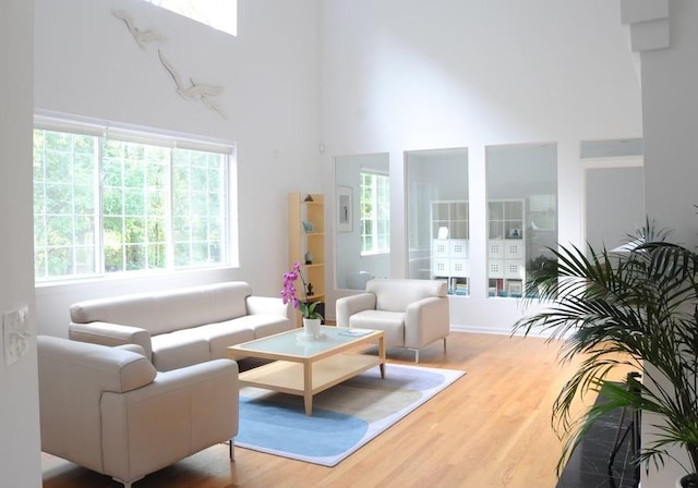 living room featuring a high ceiling and wood finished floors