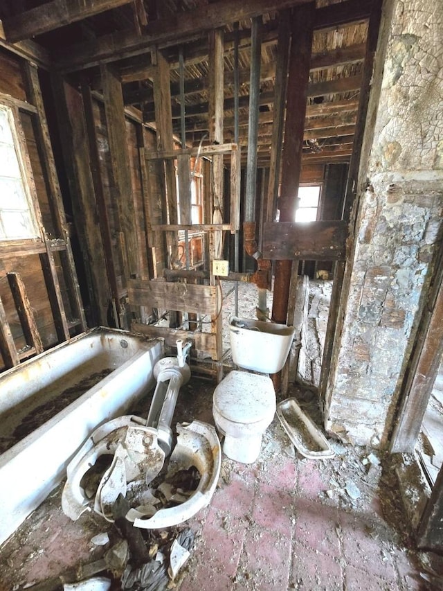 bathroom with toilet and a bathing tub