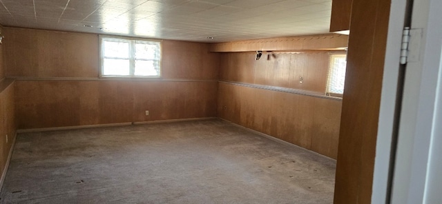 interior space featuring wood walls and carpet floors