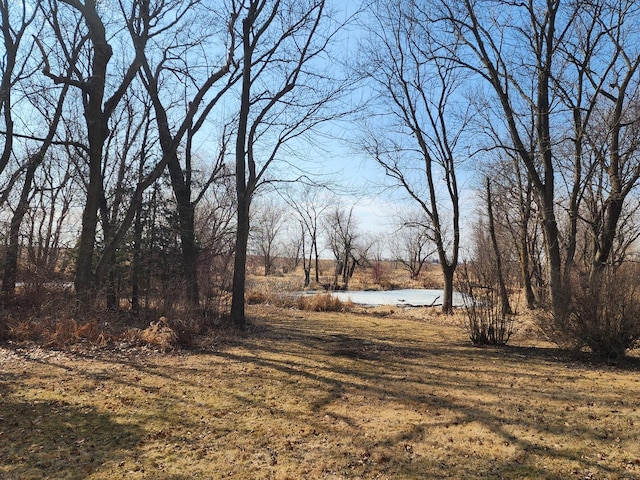 view of yard featuring a water view