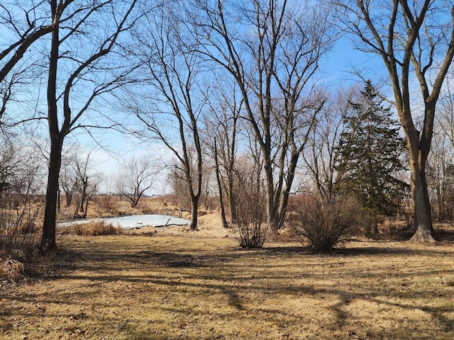 view of landscape