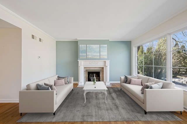 living area featuring a wealth of natural light, a premium fireplace, and wood finished floors