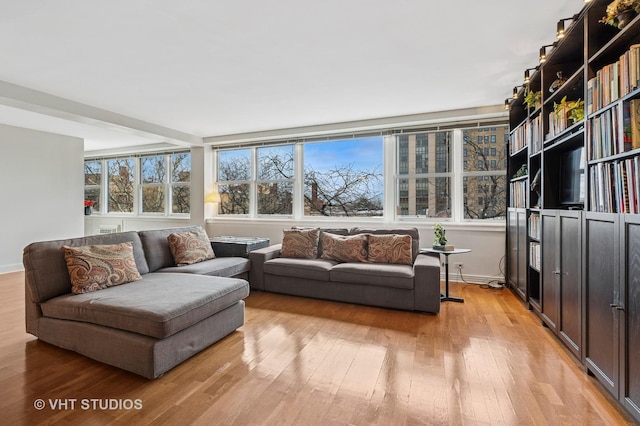 living area featuring baseboards, plenty of natural light, and light wood finished floors