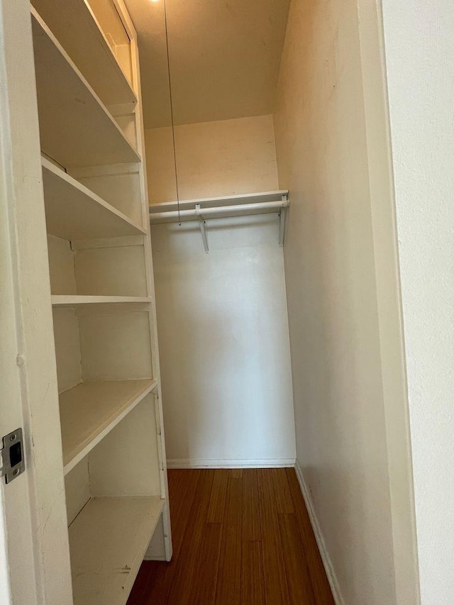 spacious closet featuring dark wood-style flooring