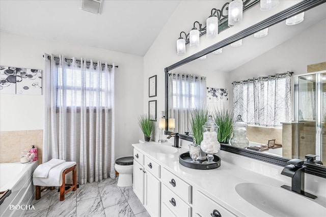 full bathroom featuring a sink, a wealth of natural light, and vaulted ceiling