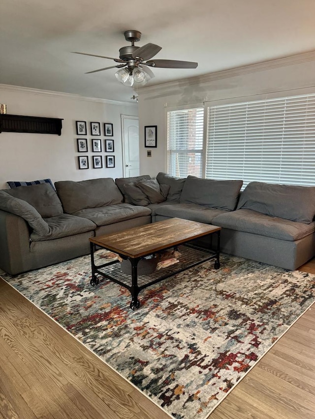 living room with wood finished floors, ceiling fan, and ornamental molding