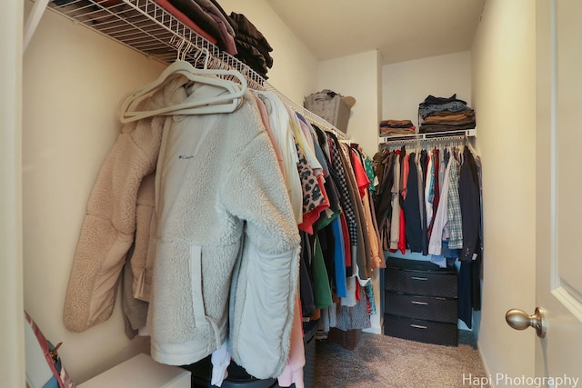 spacious closet with carpet floors