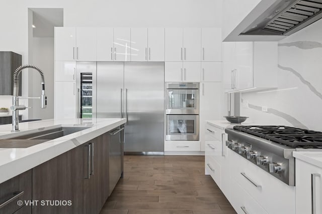 kitchen with modern cabinets, dark wood-type flooring, wall chimney range hood, appliances with stainless steel finishes, and a sink