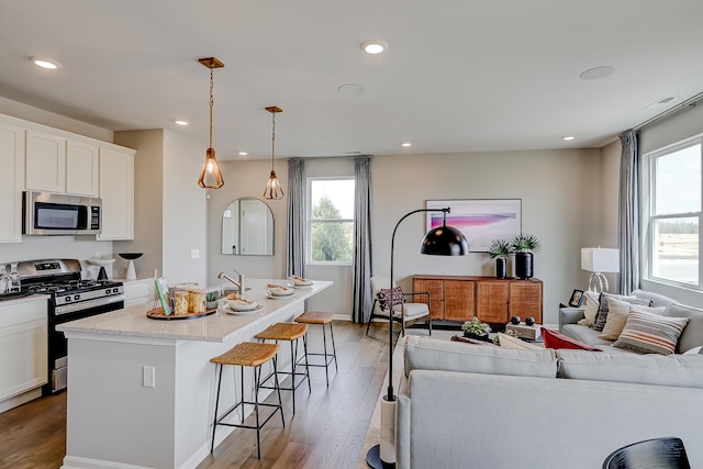 kitchen featuring light wood finished floors, open floor plan, plenty of natural light, and stainless steel appliances