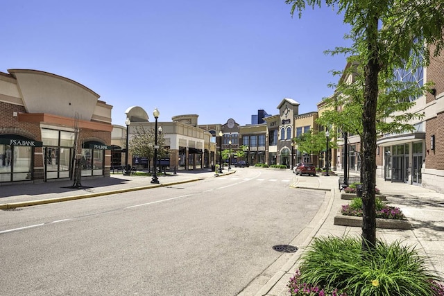 view of street with curbs, street lighting, and sidewalks