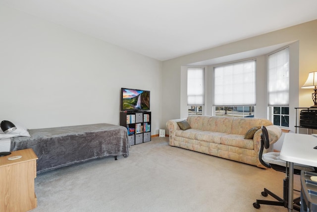 bedroom with carpet floors