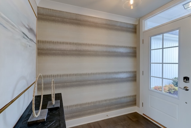 entryway featuring plenty of natural light, baseboards, and dark wood-style flooring