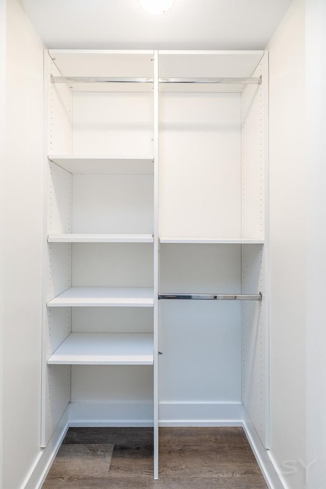 spacious closet featuring dark wood-type flooring