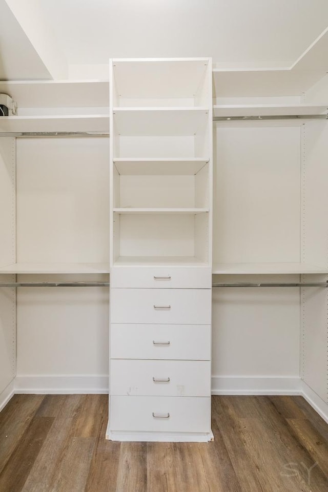 spacious closet featuring wood finished floors