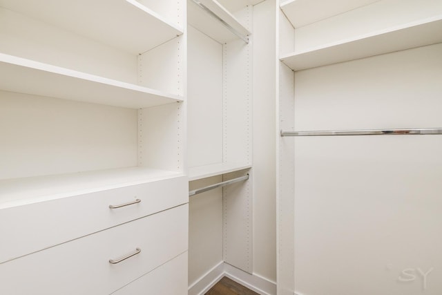 view of walk in closet