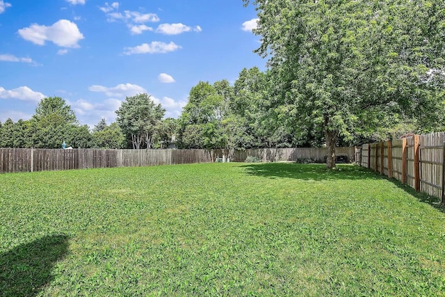 view of yard featuring a fenced backyard