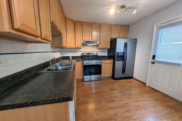 kitchen featuring under cabinet range hood, a sink, wood finished floors, appliances with stainless steel finishes, and decorative backsplash