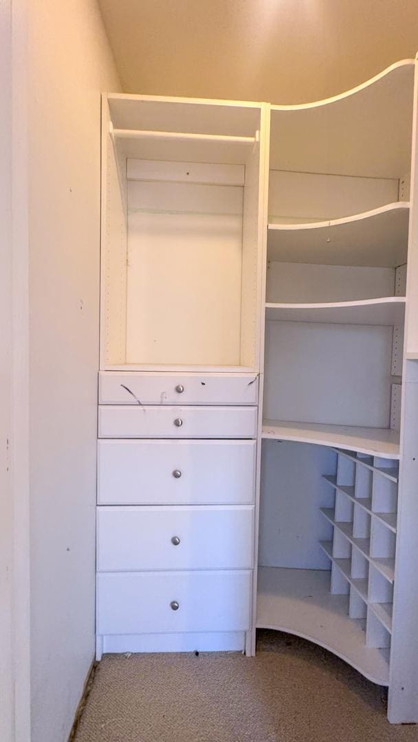 view of closet