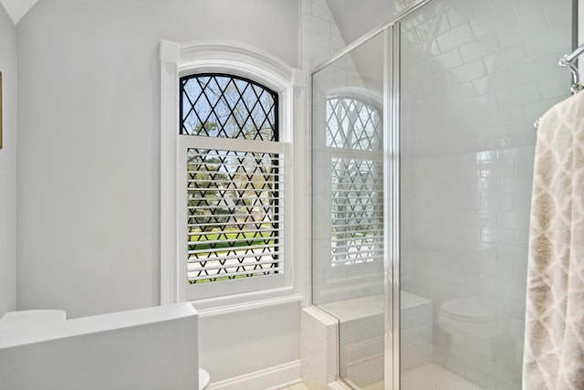 bathroom featuring toilet, a shower stall, and vaulted ceiling