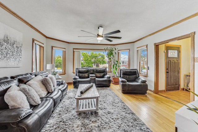 living room featuring ceiling fan, baseboards, light wood-style flooring, and crown molding