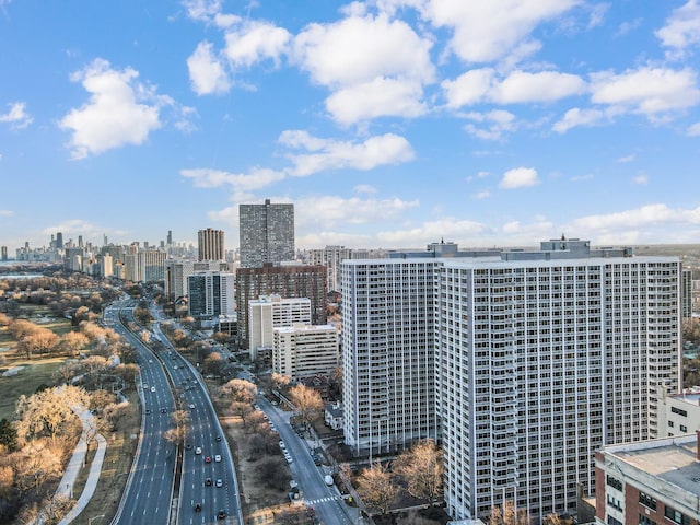 bird's eye view with a city view