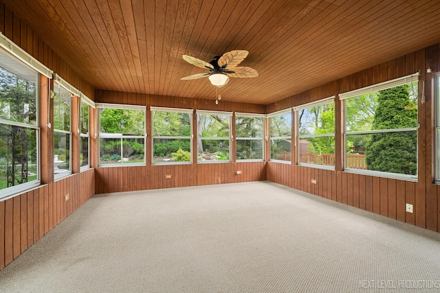 1408 N W St, Naperville, IL 60563 - unfurnished sunroom with ceiling fan