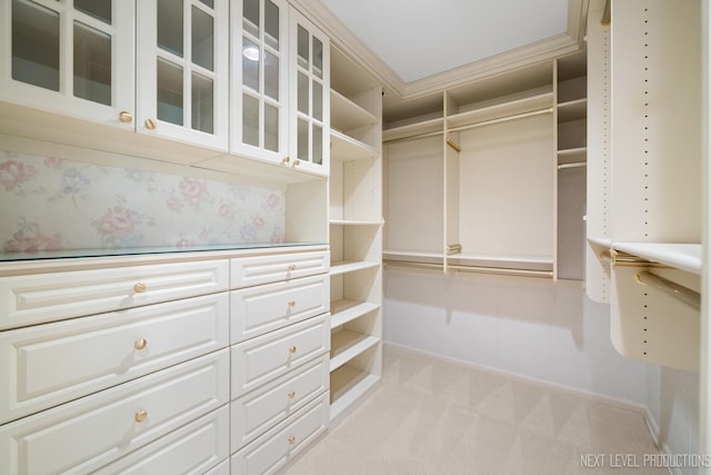 1408 N W St, Naperville, IL 60563 - spacious closet featuring light carpet