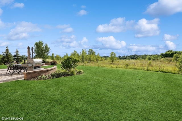 view of yard with a patio area