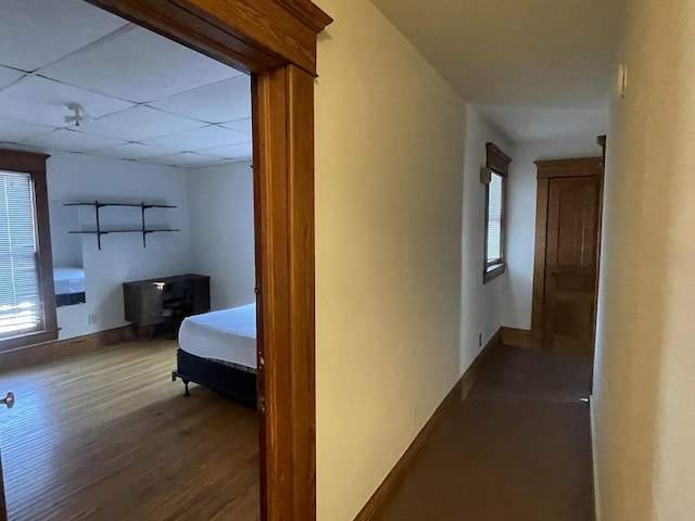 corridor with baseboards, a paneled ceiling, and wood finished floors