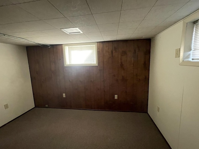 basement with carpet and wood walls