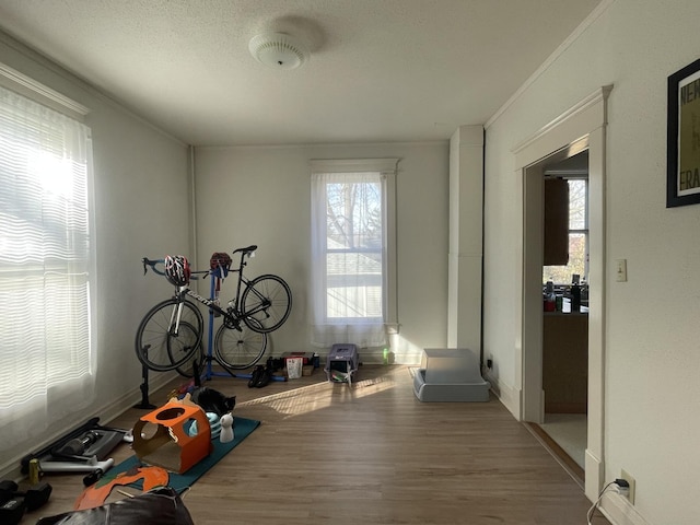 exercise area featuring a wealth of natural light, wood finished floors, and crown molding