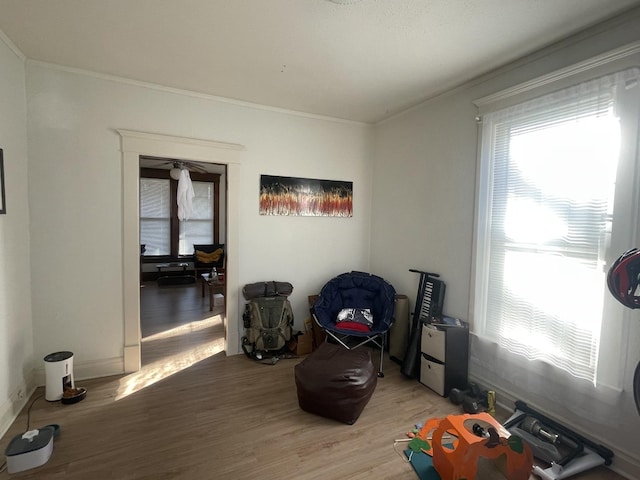 interior space with crown molding, light wood-style floors, and baseboards