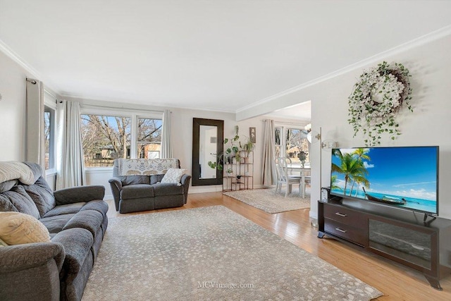 living area with crown molding and light wood finished floors