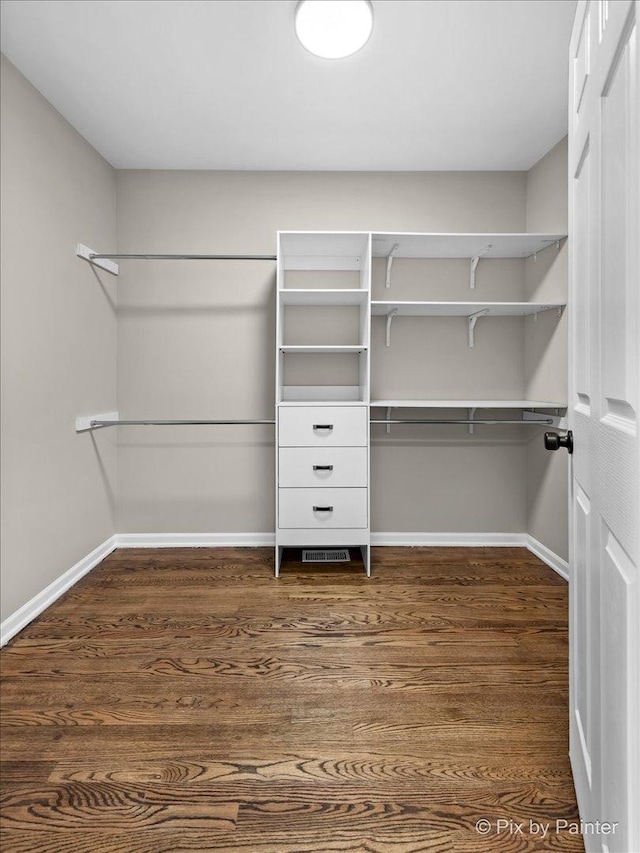 spacious closet featuring dark wood-type flooring