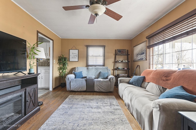 living area featuring a ceiling fan, wood finished floors, and a fireplace