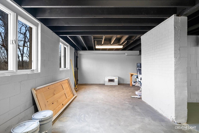 basement featuring concrete block wall