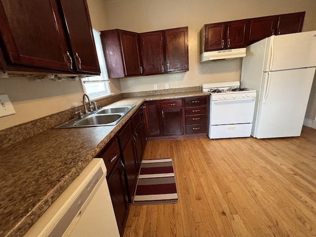 kitchen with under cabinet range hood, white appliances, light wood finished floors, and a sink